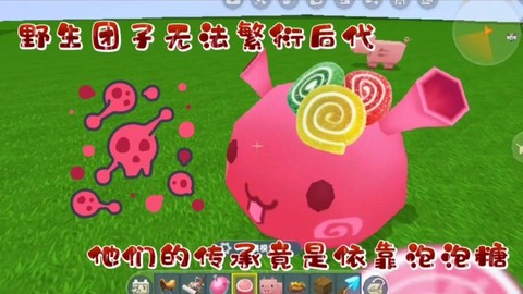 迷你世界怎么喂团子[图2]