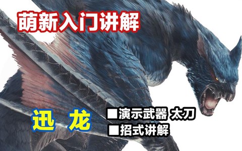 怪物猎人迅龙怎么打[图2]