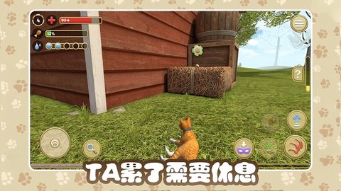 猫咪农场图2