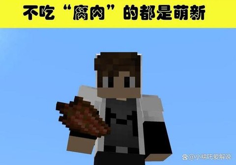 我的世界里腐肉有什么用