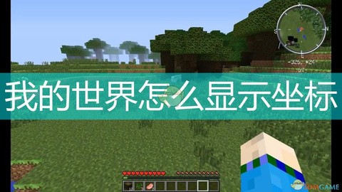 我的世界如何显示坐标