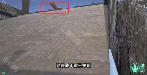 恐龙岛大猎杀[图3]