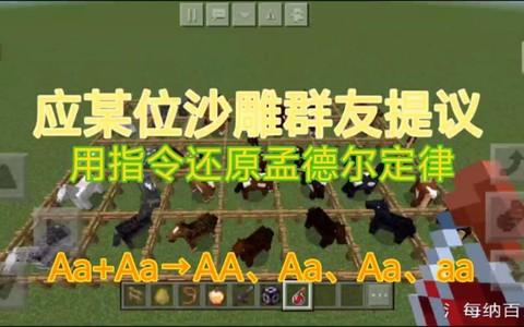 我的世界命令方块怎么玩