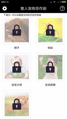 整人宠物恶作剧图2