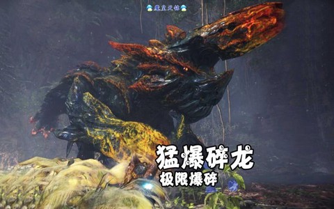 怪物猎人碎龙弱什么