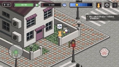 流浪猫的故事中文版图2