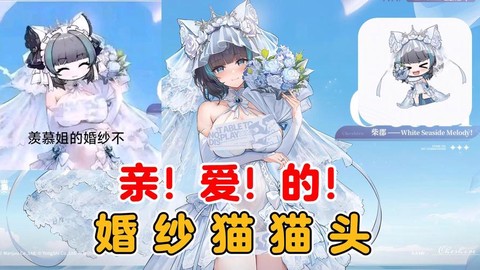 碧蓝航线喵箱怎么用