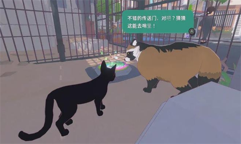 小猫咪大城市游戏手机版[图3]