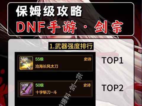 dnf剑宗带什么武器好[图1]