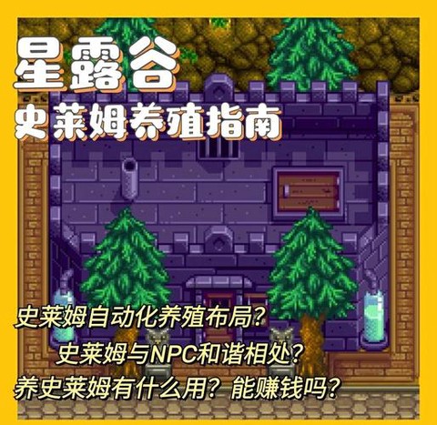 星露谷物语怎么喂猪