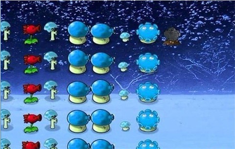 植物大战僵尸冰火版图2