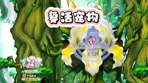 冒险岛2复活用什么