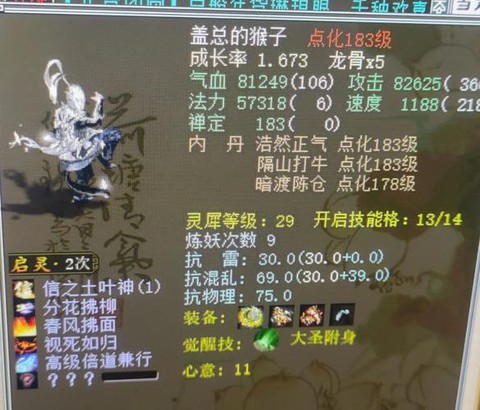 大话西游仙用什么宝宝