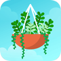梦幻植物园