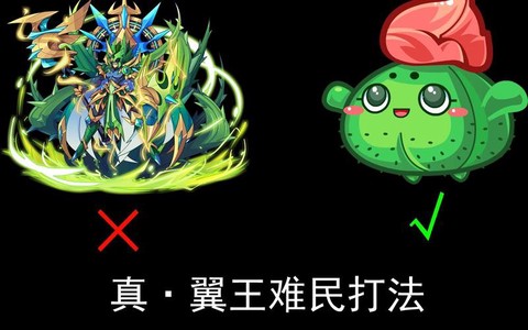 洛克王国怎么打翼王