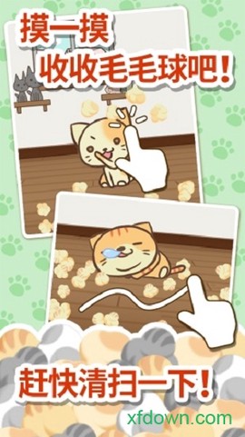猫咪的毛最新版图2