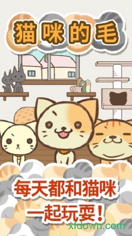 猫咪的毛最新版图3