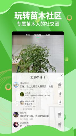 苗木通图3