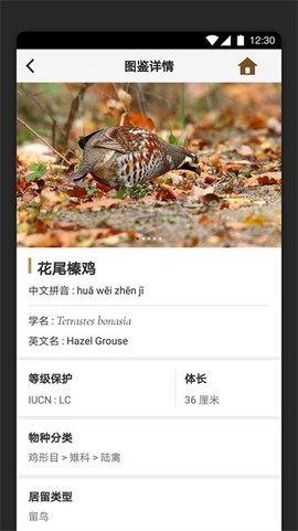 识鸟家图2