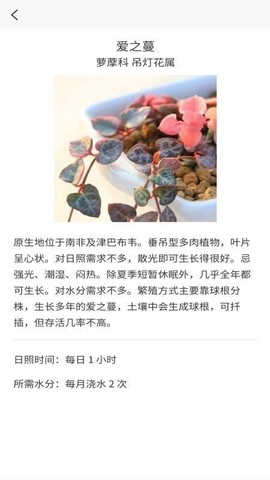 嘟嘟多肉植物鉴图3