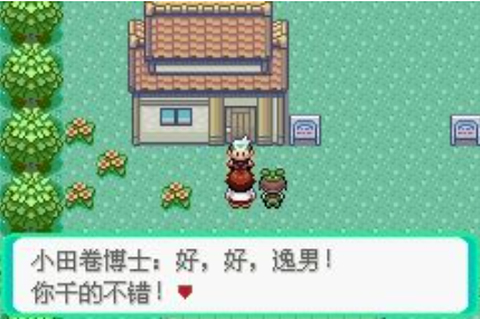 口袋妖怪传说绿宝石1.5.1[图2]