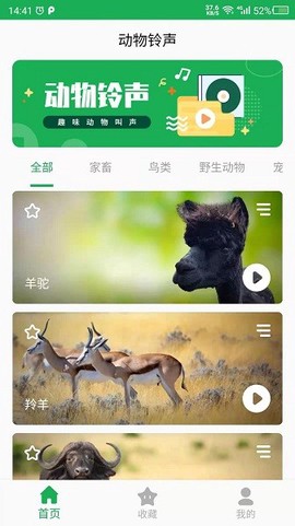 动物叫声之家[图1]