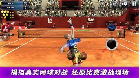 冠军网球图2