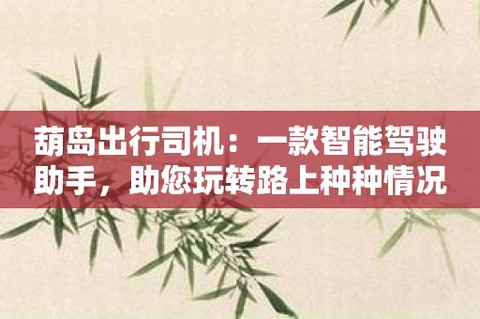 葫岛出行司机[图1]