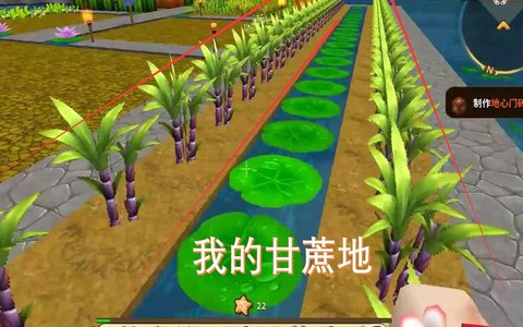 迷你世界甘蔗怎么种植