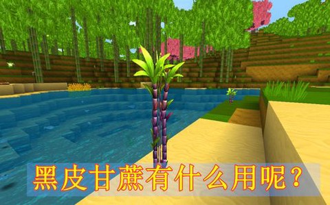 迷你世界甘蔗怎么种植[图2]