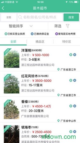 爱淘苗图1