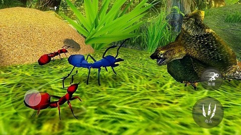 昆虫捣蛋模拟图2