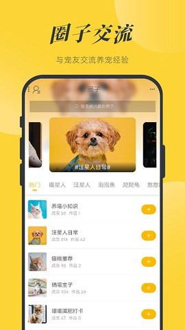 一宠星球图3