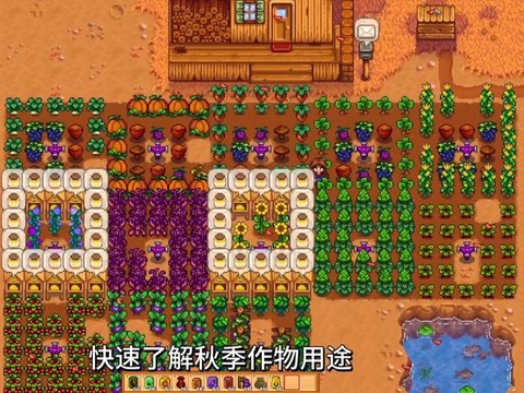 星露谷物语秋季种什么[图1]
