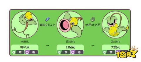 宝可梦口呆花怎么进化[图2]