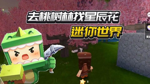 迷你世界星辰花是什么[图1]
