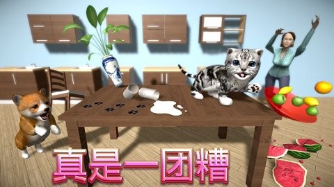 猫咪模拟器2021[图1]