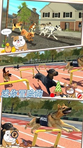 迷你冒险狗[图1]