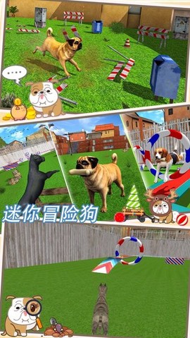 迷你冒险狗图1