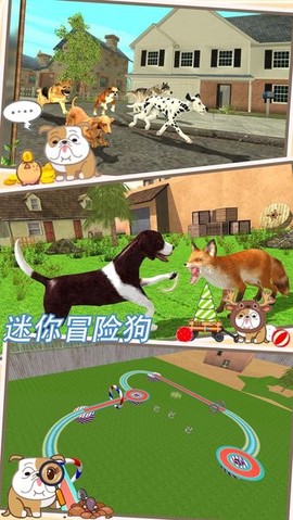 迷你冒险狗图2