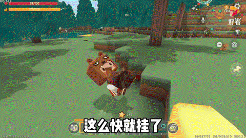 迷你世界熊喜欢吃什么[图1]