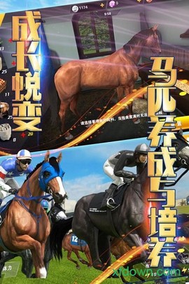 相马大师[图1]