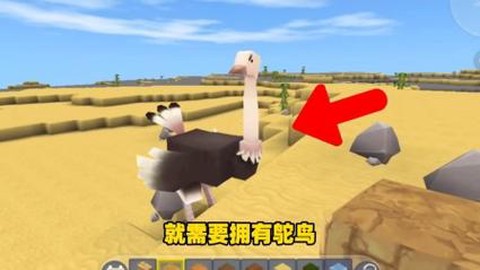 迷你世界如何驯服鸵鸟