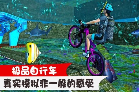 极品自行车[图3]