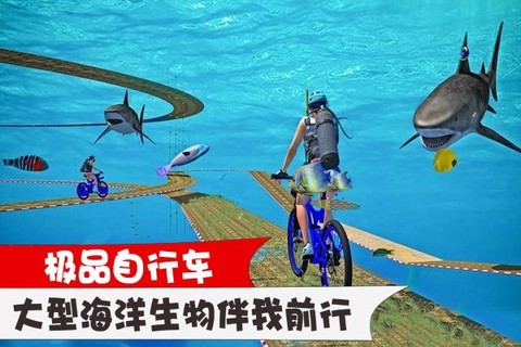 极品自行车图2