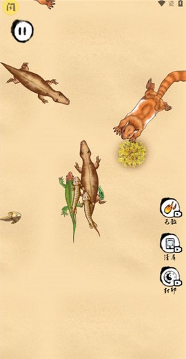 召唤圣龙图1