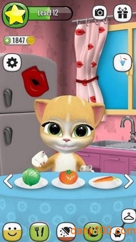 会说话的艾玛猫[图1]