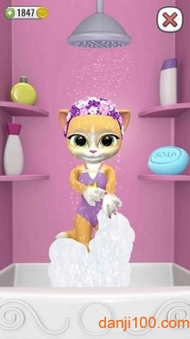 会说话的艾玛猫图1