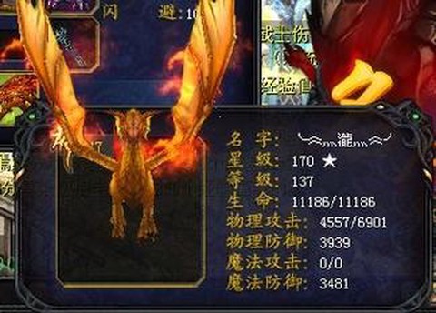 魔域宝宝什么是副属性