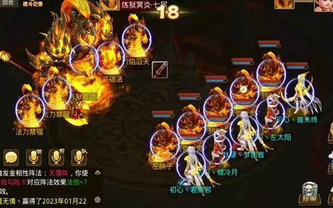问道手游问羽是什么